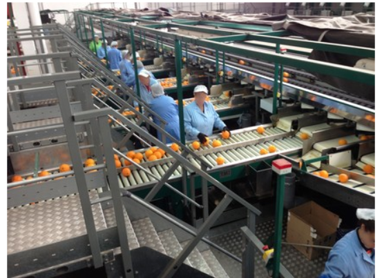 La Cooperativa busca trabajadores